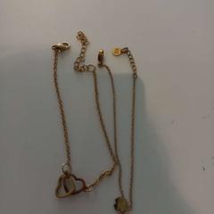 Bijoux, a été signalé par Arriva Limburg Zuid utilisant iLost