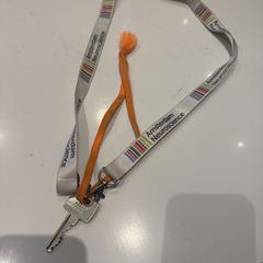 Sleutel aan koord Amsterdam neuroscience, gerapporteerd met iLost