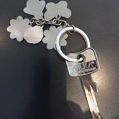 İLost kullanarak Arriva Limburg Zuid tarafından bildirildiği gibi Anahtar