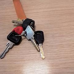 Giltzak, gisa salatu by Qbuzz Fryslân iLost erabiliz