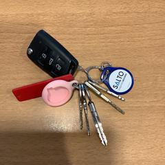鍵 がiLostで Gemeente Amsterdam - Bureau Gevonden Voorwerpen によって報告されました