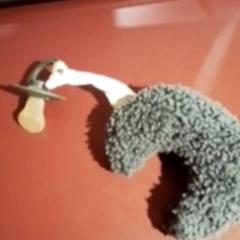 Pezón Groen, ha sido reportado por Apenheul con iLost