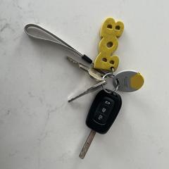 Sleutelbos met autosleutel a été signalé sur iLost