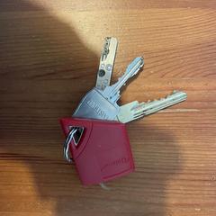 Sleutelbos / Sleutels, jak bylo nahlášeno na iLost