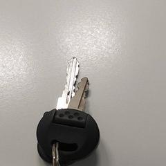 Claus, segons ha informat Centraal magazijn mitjançant iLost