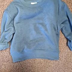 Pullover Blauw Kinderen, gemeldet von Burgers' Zoo über iLost