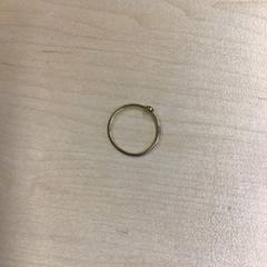 Prsten, jak nahlášeno Gemeente Nijmegen pomocí iLost