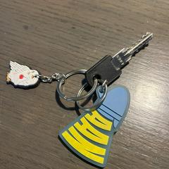 Sleutelhanger met 1 sleutel, as reported to iLost