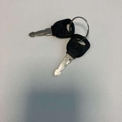 Keys, as reported by Gemeente Ede using iLost
