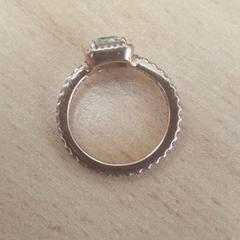 Pandora Ring (Goud), zoals gemeld door Walibi Holland met iLost