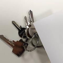 Sleutelbos, zgłoszono przez Centraal magazijn przy użyciu iLost