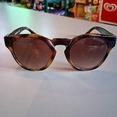 Sunglasses Bruin, as reported by Familiepark Drievliet using iLost