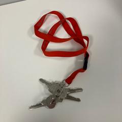 Sleutelbos Rood koord, ha sido reportado por Pathé Ypenburg con iLost