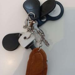 Klíče Met houten hanger, jak nahlášeno Arriva Limburg Zuid pomocí iLost