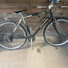 Sportfiets, segons s'ha informat a iLost