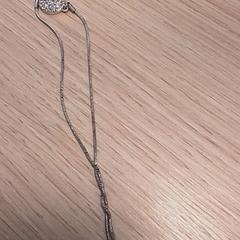 Kettinkje Zilverkleurig, segons ha informat Qbuzz Fryslân mitjançant iLost