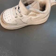 구두, iLost를 사용하여 Diergaarde Blijdorp에 보고됨