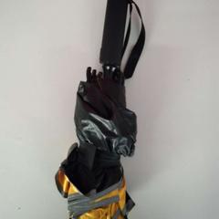 Umbrella, as reported by Twisto using iLost