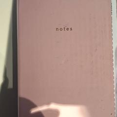 Livre Notitie boek, a été signalé par Bibliotheek Neude (Utrecht) utilisant iLost