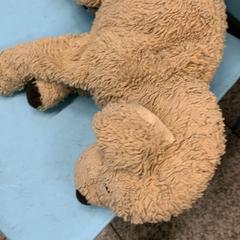 Knuffel, como reportado por Eindhoven Airport utilizando o iLost