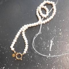 Collar, ha sido reportado por Qbuzz servicepunt  Emmen con iLost