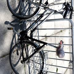 Bici da donna Altra, come riportato da Stadswerk072 utilizzando iLost