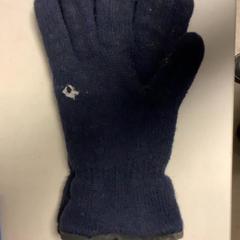 Rukavice, jak nahlášeno Artis pomocí iLost