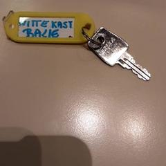 Klíč, jak nahlášeno LUMC pomocí iLost