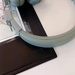 Auriculars, segons ha informat RRReis IJssel-Vecht mitjançant iLost