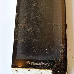 Telefoon, zoals gemeld door DierenPark Amersfoort met iLost