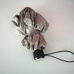 مظلة، كما تم الإبلاغ عنه بواسطة Twisto عبر iLost