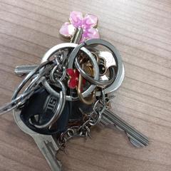 Klucz, zgłoszono przez Arriva West-Brabant przy użyciu iLost