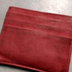 Posiadacz karty, zgłoszono przez Arriva Friesland / Groningen przy użyciu iLost