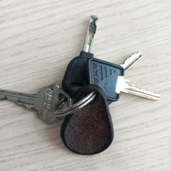 Llave, ha sido reportado por Arriva West-Brabant con iLost