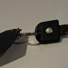 鍵 がiLostで Gemeente Duiven によって報告されました