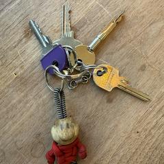 Sleutelbos / keyring with keys, som rapporterats till iLost