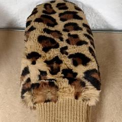 Fäustlinge Panter, gemeldet von Qbuzz GD Groningen Peizerweg über iLost