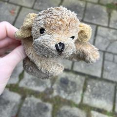 Knuffel, segons s'ha informat a iLost