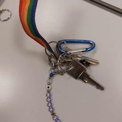 Chaves Regenboog, como reportado por Vrije Universiteit Amsterdam utilizando o iLost