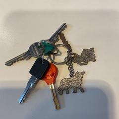 Nøkkel, som rapportert av Gemeente Amsterdam - Bureau Gevonden Voorwerpen ved bruk av iLost