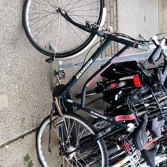 Dámské kolo batavus, jak nahlášeno Stadswerk072 pomocí iLost