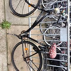 Zwarte opoefiets, a été signalé par Stadswerk072 utilisant iLost
