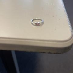 Gyűrű Hartje, amint azt Burgers' Zoo az iLost segítségével jelentette.