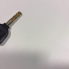 Klíč 2x sleutels, jak nahlášeno Gemeente Veenendaal pomocí iLost