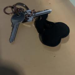 Clau 0, segons ha informat Jaarbeurs mitjançant iLost