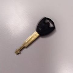 Fahrradschlüssel Zwart, gemeldet von Vrije Universiteit Amsterdam über iLost