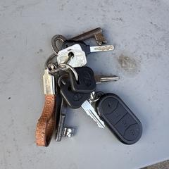 Sleutelbos, jak bylo nahlášeno na iLost