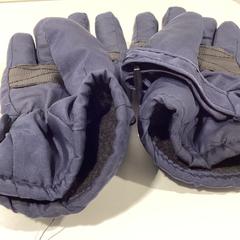 Guanti Donkerblauw-271225 DISN1, come riportato da Ziggo Dome utilizzando iLost