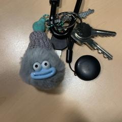 Nøkkelring, som rapportert av Jaarbeurs ved bruk av iLost