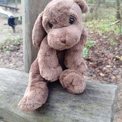 Knuffel hond, como reportado ao iLost